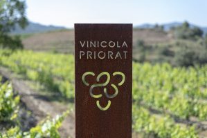 vins-de-la-vila--vinicola-del-prioirat-01