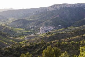 vinyes-i-pobles-vinicola-del-prioirat-20